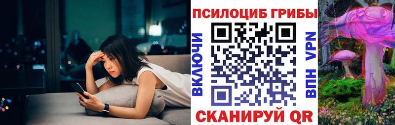 Галлюциногенные грибы Psilocybine cubensis Щигры