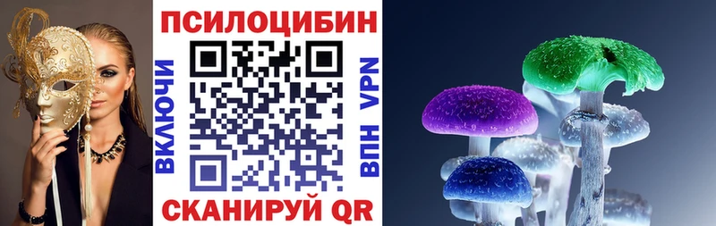 Псилоцибиновые грибы Cubensis  Щигры 